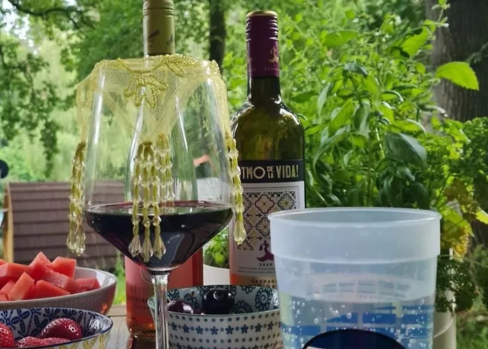 Hébergement de vacances Tiny House Finja - Wohlfuehldomizil Am Plauer